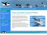 Whale and Dolphing watching holidays
